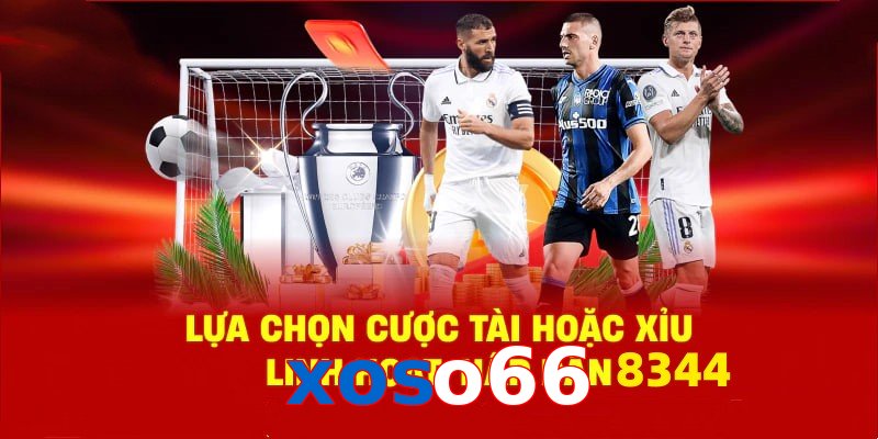 Danh mục đa dạng, đoán chuẩn là nhận tiền