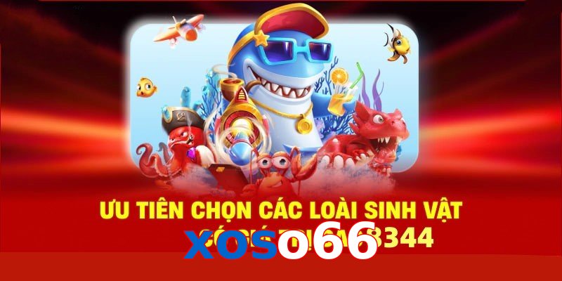 Xem Tướng Gà Chọi - Bí Quyết Chọn Chiến Kê Bất Bại 
