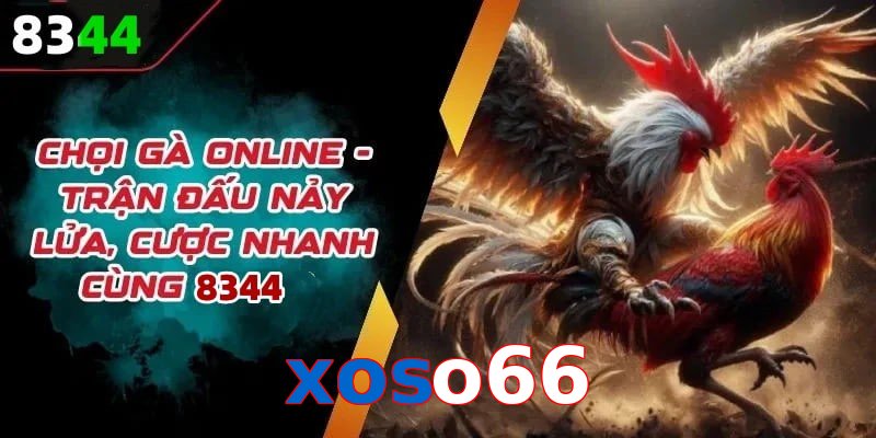 Đá gà xoso66 có rất nhiều ưu điểm vượt trội so với sân chơi khác