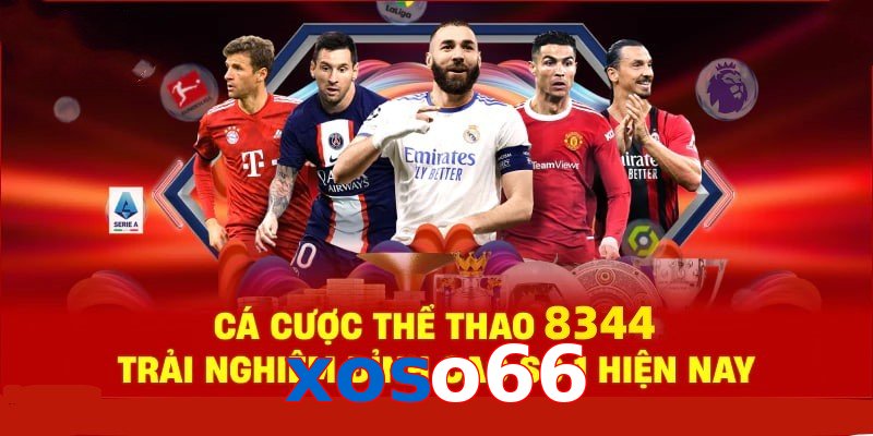 Đá Gà Philippines – Tinh Hoa Truyền Thống Và Thể Thao 